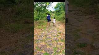 TN waterfalls-13, 📍kumarakoil mini falls#shorts #waterfalls #tamilnadu