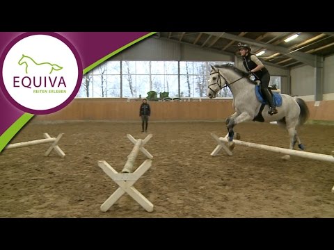 Stangen- und Cavalettiarbeit Teil 4 - erste Übungen für den Galopp