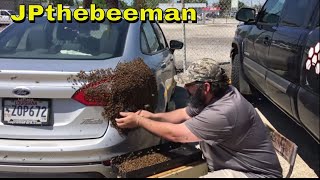Huge Honey Bee Swarm On Young Lady&#39;s Vehicle