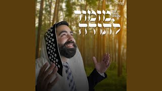 מזמור לתודה