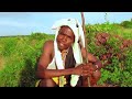BHATUGUTU BHUCHELE PRO MADULU STUDIO