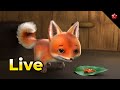 Kathu Season 5 LIVE Finding Kunjoose Malayalam Cartoon For Kids