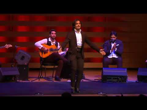 The Paco de Lucía Project (Promo 2)