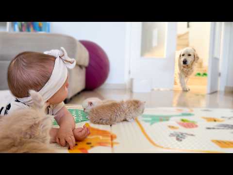 YouTube 썸네일
