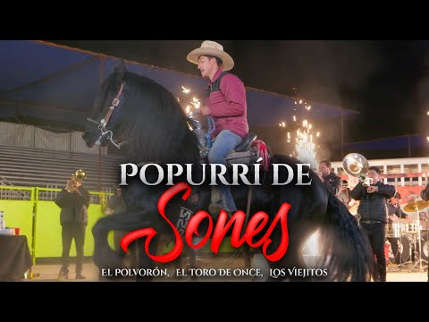Popurrí De Sones - El Polvorón, El Toro De Once,  Los Viejitos