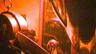 Synergy ~ Flight of the Looking Glass