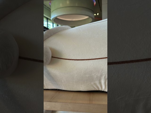 Vídeo relacionado con Star Wars Grogu - Cama para Mascotas con diseño de Personajes e Inserto extraíble Lavable a máquina - (M)