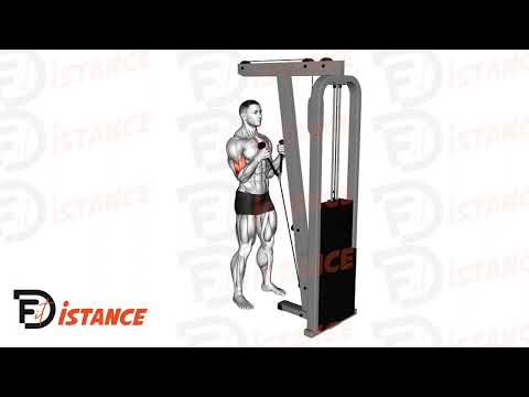 Curls marteau à la poulie avec corde - Exercice Curls marteau à la poulie avec corde en vidéo