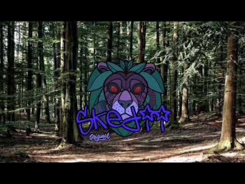 Savesta × skedii 2k20