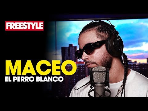 MACEO ❌ DJ SCUFF - FREESTYLE (EL PERRO BLANCO)