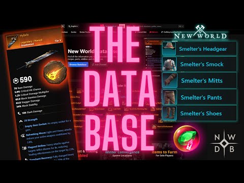 New World Database A Basic Guide