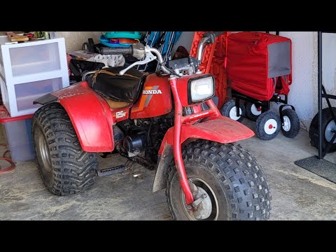 1984 Honda 125m threewheeler  starts first pull #honda #atc
