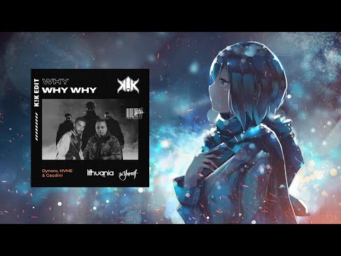 Dynoro, HVME & Gaudini - WHY WHY WHY (K!K Edit)