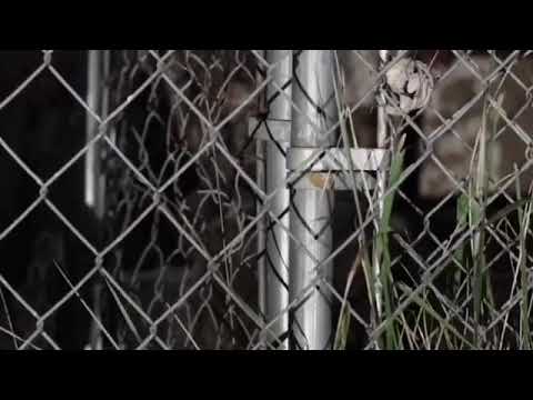 #LBxGT TMP X KRAYOLA (OFFICIAL MUSIC VIDEO) 🎥 @SHOTBYZARIA