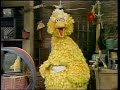 Classic Sesame Street Big Bird Sings Wonderful Me 1976 HQ