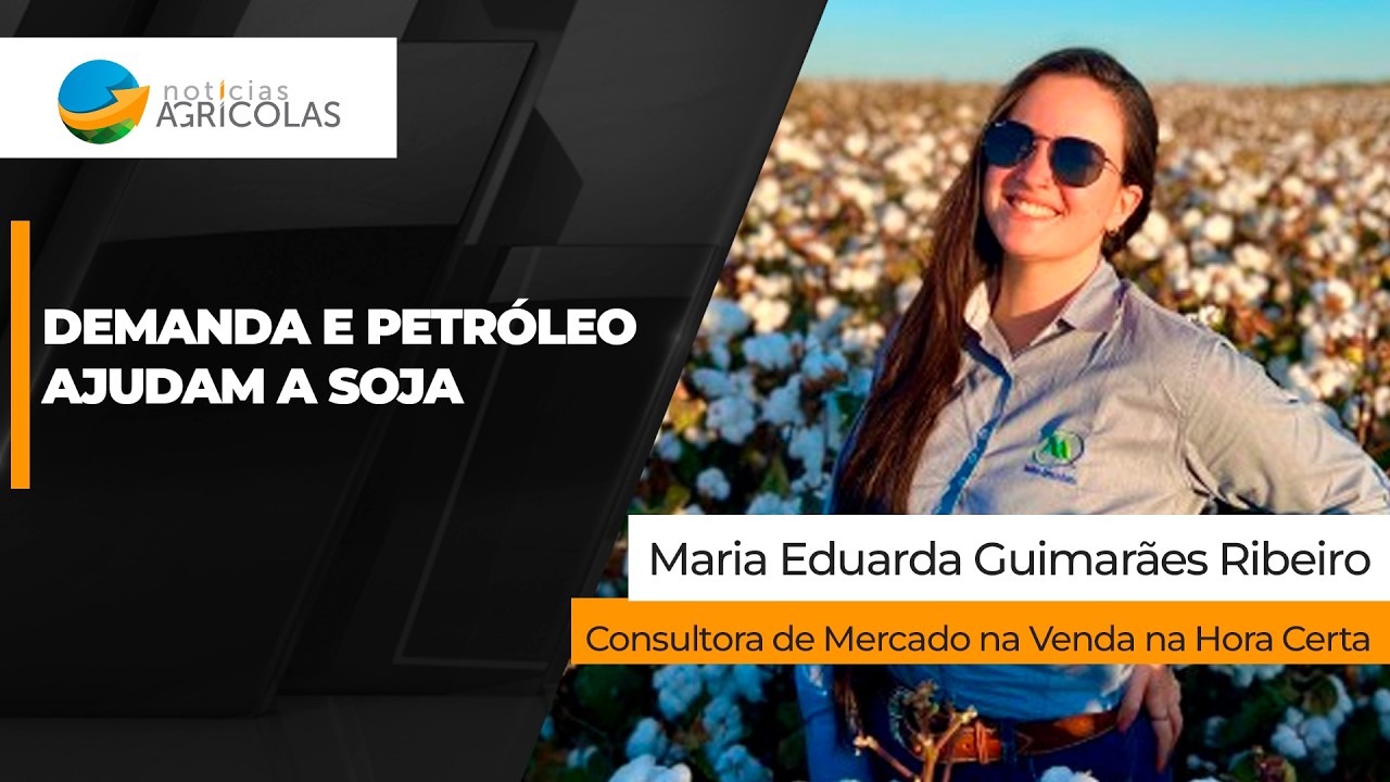 Demanda chinesa e alta do petróleo ajudam soja a subir em Chicago nesta sexta-feira, apesar de...