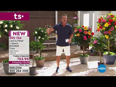 HSN | Guy's in the Garden 03.12.2021 - 11 AM