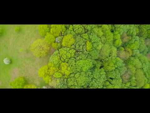 Abberley hills by Drone in Worcestershire