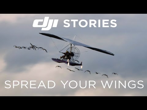DJI Stories - Spread Your Wings