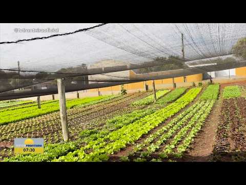 Horta ajuda na produção de alimentos saudáveis em Osvaldo Cruz