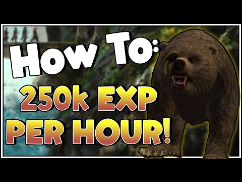 Free-2-Play Leveling Guide! EASY TO FOLLOW! | Lord Of The Rings Online | Patch 33.2