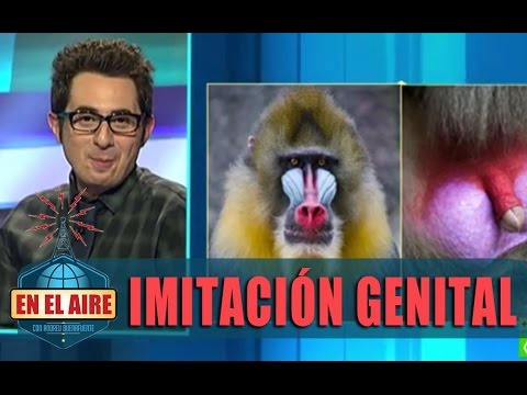 Berto Romero: "Mi cara no es una imitación de mis genitales"  - En el aire