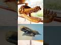 Unveiling the Savage Titans: Livyatan - The Ancient Whale Monster That Engulfed Megalodon