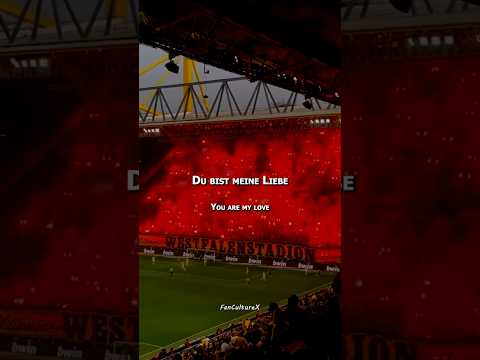 FanCultureX and Fan-Kultur