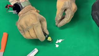 lotta-al-narcotraffico-di-droga-nella-jamaica-dei-monti-lattari