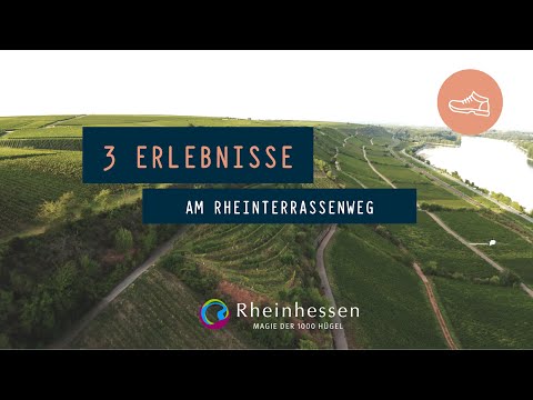 Wandern in Rheinhessen│3 Erlebnisse am RheinTerrassenWeg│Kulinarik & Spaß