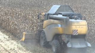 preview picture of video 'mais 2013 con NEW HOLLAND CX 8050'
