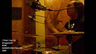 Girugamesh - I Think I Can Fly Cover