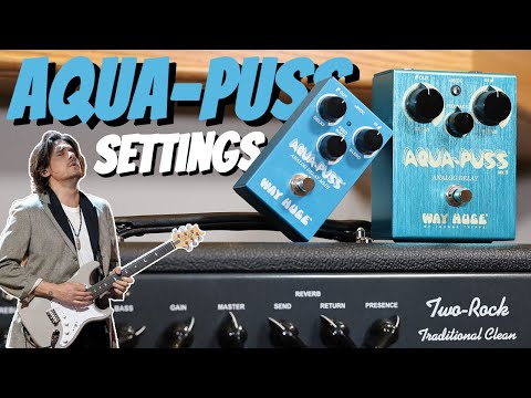 My Tips For Getting Mayer's Aqua Puss Slapback Sound