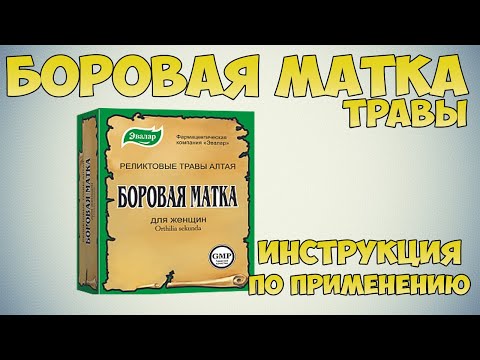 Боровая матка трава инструкция. Как правильно заваривать и пить при заболеваниях мочеполовой системы