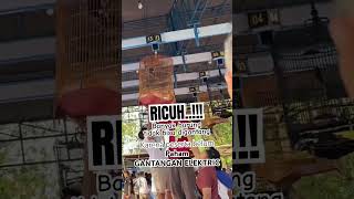 Download lagu Lomba burung RICUH .!!! Gantangan electrik keburu DITUTUP #lombamuraibatu #lombamurai mp3