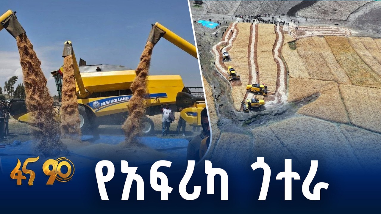 የሲጂቲኤን ዘጋቢ ፊልም