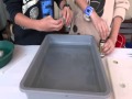 learning hydroponics 