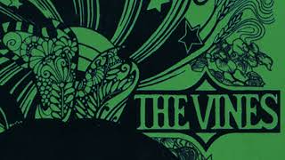 The Vines - Rainfall (Instrumental)