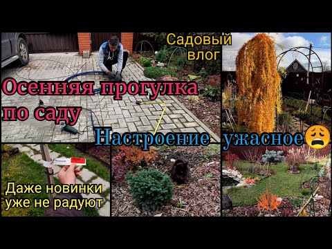 Джанаки жизнь за городом ютуб