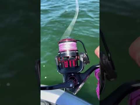 THIS BRAIDED LINE IS AMAZING!