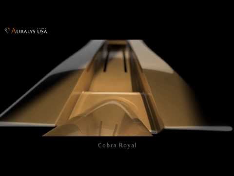 Cobra Royal by Auralys