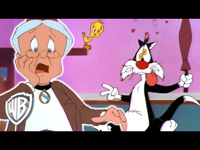 Vídeo relacionado con Looney Tunes Tweety Sweet Little Innocent Me Camiseta