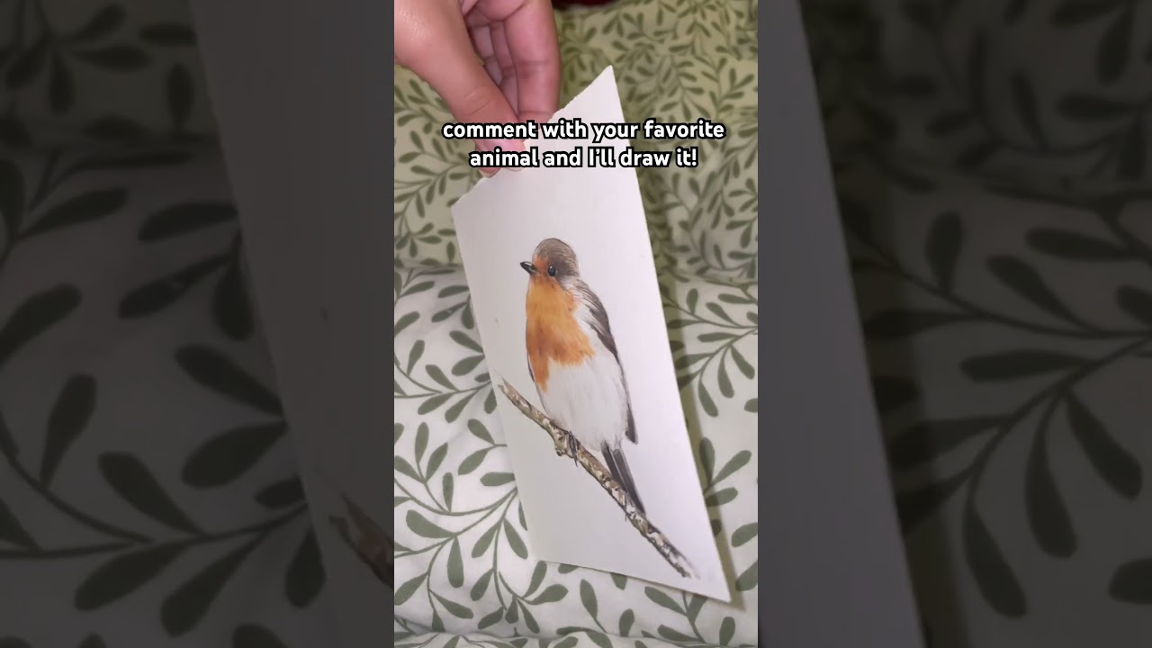 Subscribe to support a Small Artist ❤️ Thank u all #art#viralshort #robin #drawing #animals