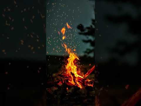 Envine ft. Nino Lucarelli - The Way We Began [Hardstyle]