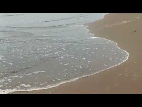 Sidhu first time beach 🏖️ experience 💃🎉🕺#travelling # fun