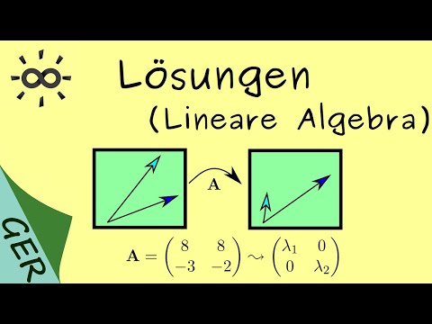 Lösungen Diagonalisierbare Matrizen und abstrakte Vektorräume
