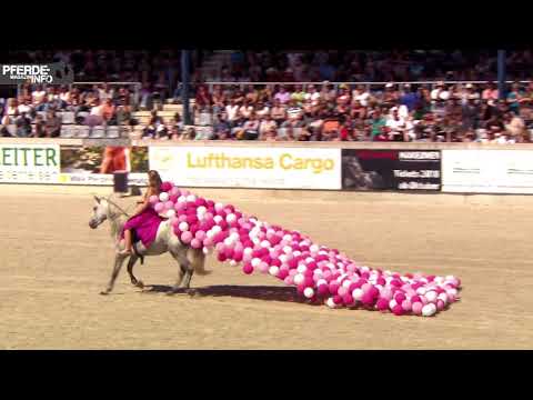 Mustang Makeover 2017