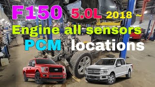 F150 5.0L Engine sensors locations , PCM connectors  , #F150, #F150Engine, #F150PCM, #F150sensor,