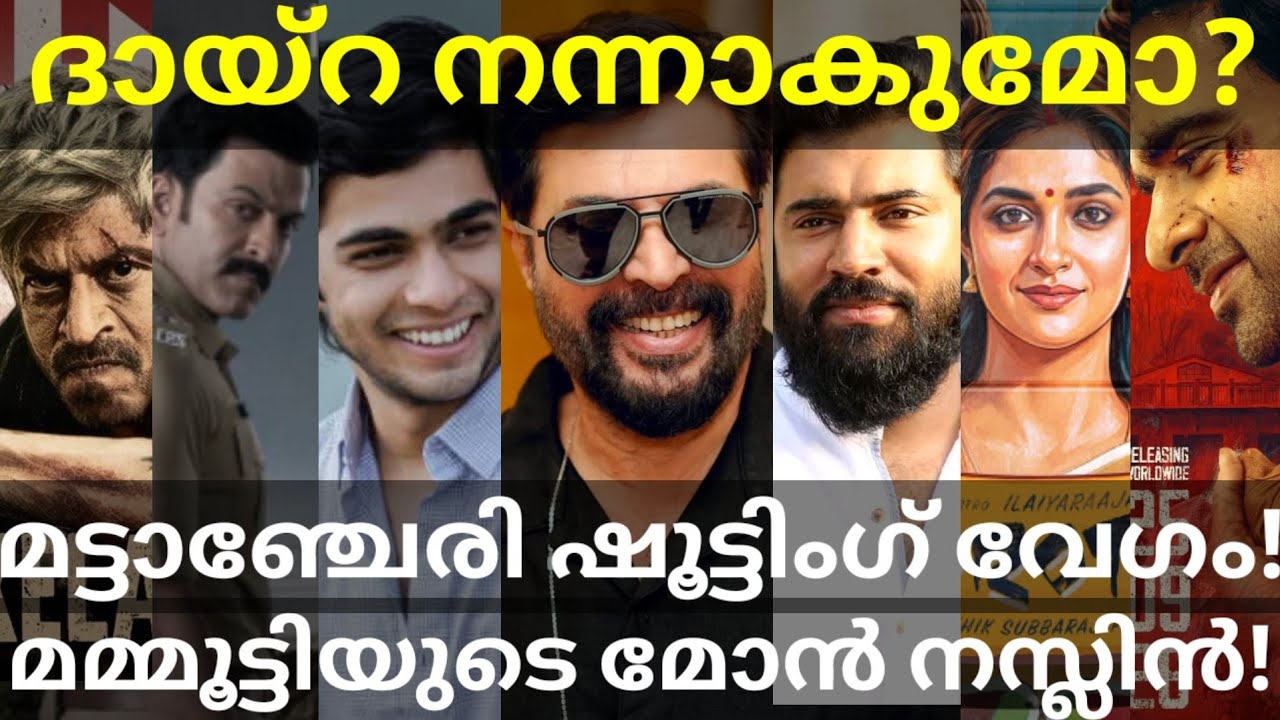 Mattancherry Mafia Movie Shooting |Daayra and King Movies News #Mammootty #Prithviraj #Nivinpauly 