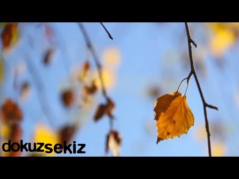 Canımdan Can Aldı (ft. Sancak) - Erdal Toprak